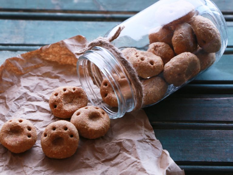 [Grandes Ideas] Ricas croquetas para gatos