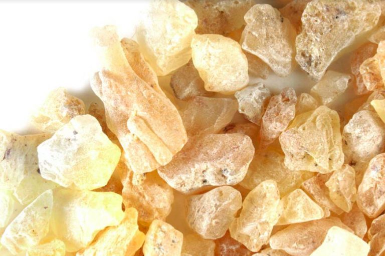 [Consejo] El Copal: Poderoso limpiador