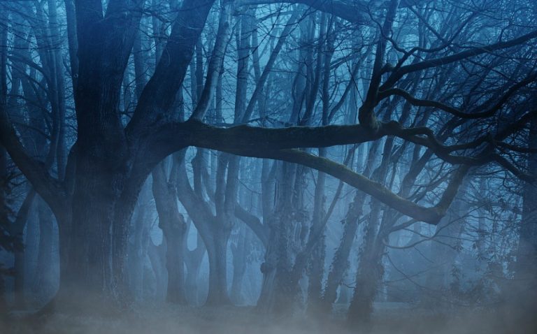 [Impacto] Criaturas de las sombras: Tenebroso fenómeno que nos acecha en la oscuridad