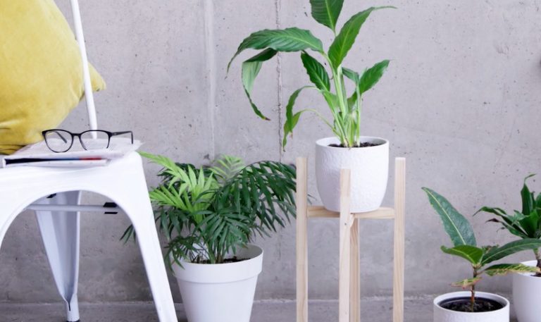 [Deco]  Dale un lugar estiloso a tus plantas