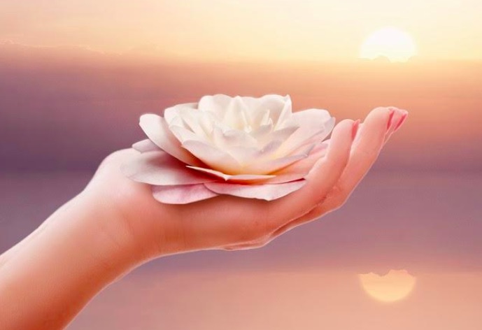 [Consejo] ¿Cómo vives el perdón?