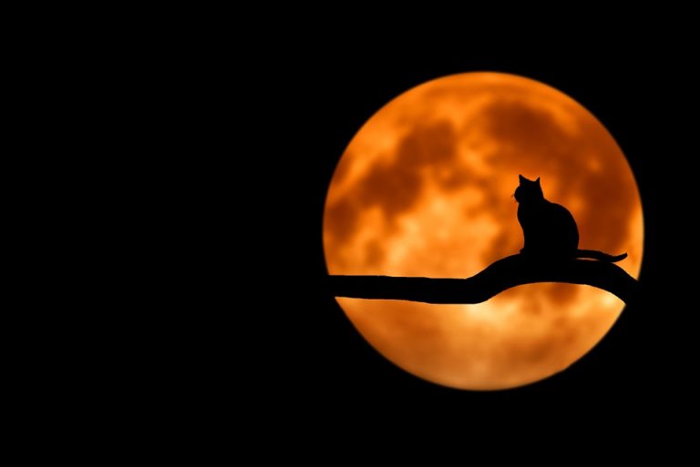 [Video] ¡Descubren en la Luna decenas de misteriosos agujeros idénticos!