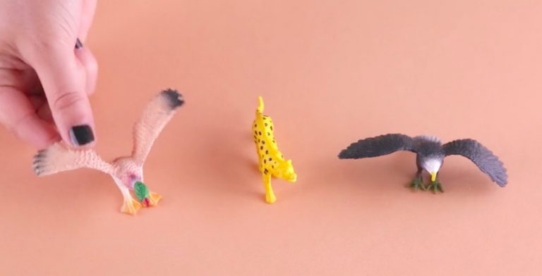 [Grandes Ideas] Dale nueva vida a esos animales de juguetes olvidados