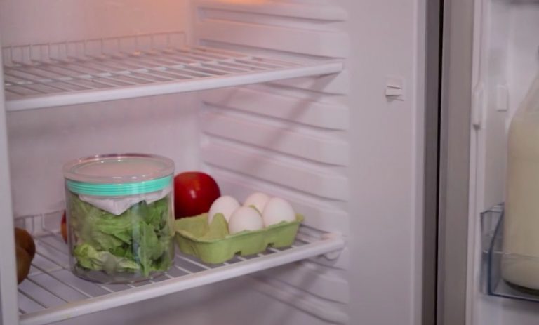 [Cocina] Aprende cómo conservar tus alimentos de la mejor manera