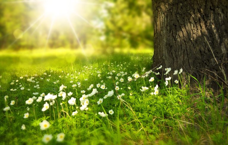 [Consejo] La gran terapia del sol