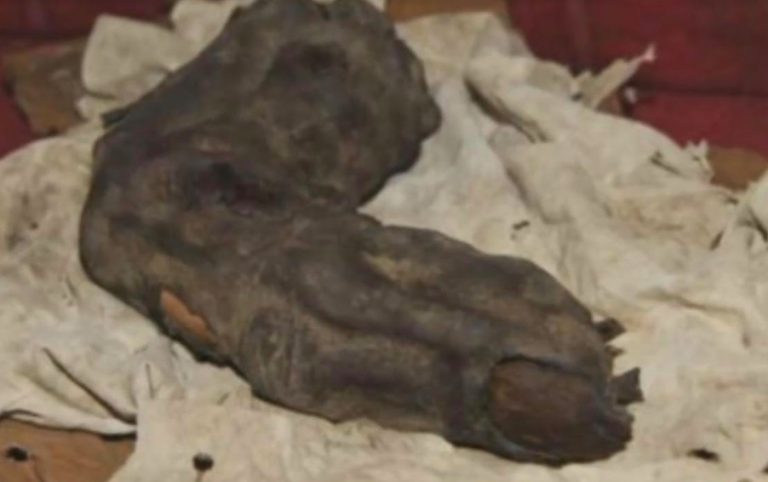 [Video] ¡Dedo gigante encontrado en Egipto pertenecería a un ser de 5 metros de alto!