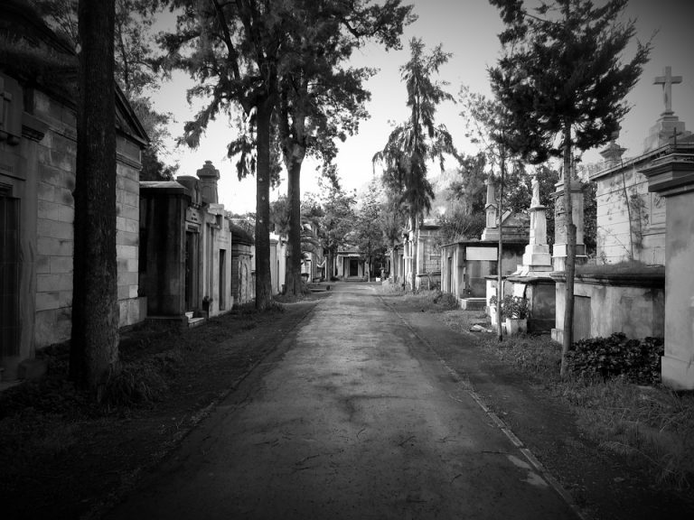 [Impacto] Criaturas de las sombras: Tenebroso fenómeno que nos acecha en la oscuridad