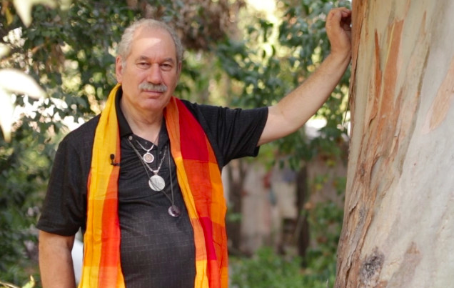 Pedro Engel te cuenta el significado de soñar con árboles