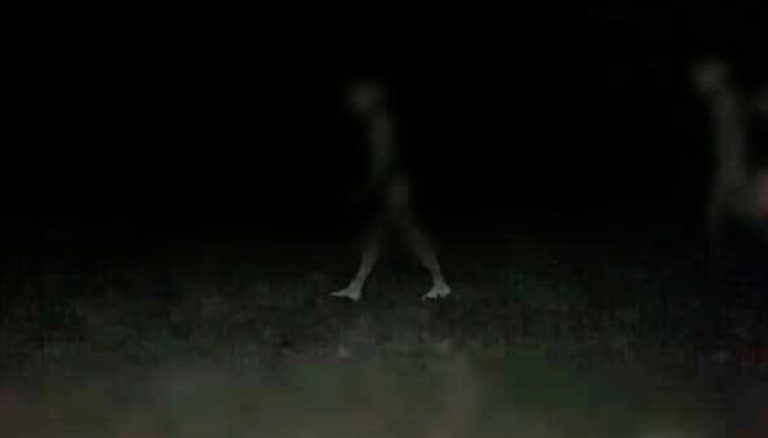 Impacto en las redes por supuestas fotografías de extraterrestres en el norte de Chile