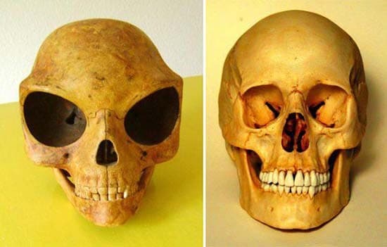 Científicos reconocen que misterioso cráneo descubierto en Dinamarca es de origen extraterrestre