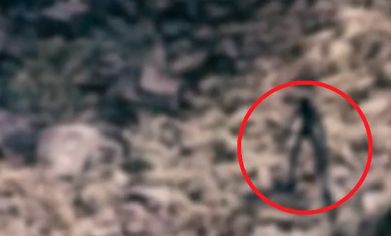 Misterioso ser humanoide de extremidades alargadas es grabado desde un dron en el volcán Citlaltépetl