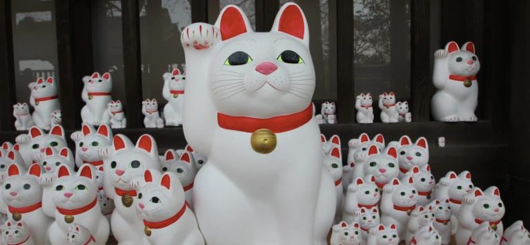 Salfa te cuenta la leyenda del gato de la suerte desde el lugar donde nació en un templo japonés