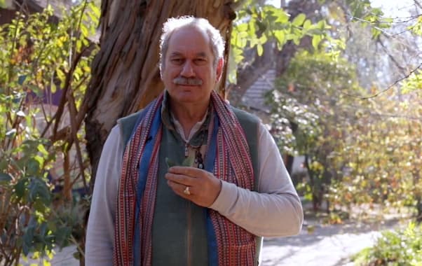 Consejo de Pedro: La fuerza de la naturaleza