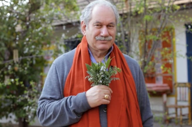 Consejo de Pedro: Aprovecha la primavera con estas plantas mágicas