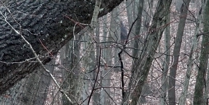 Increíble video de Pie Grande en Ohio
