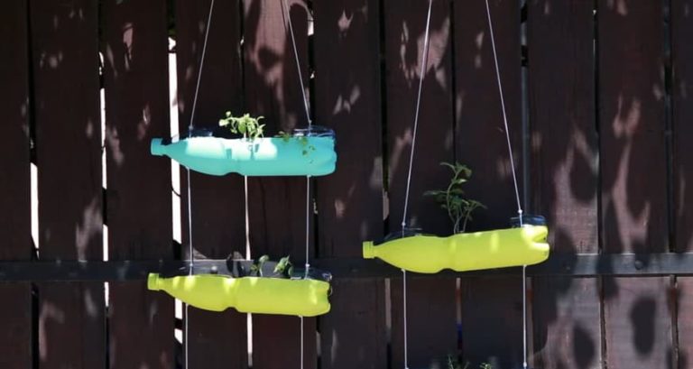 Reutiliza botellas y decora tu jardín