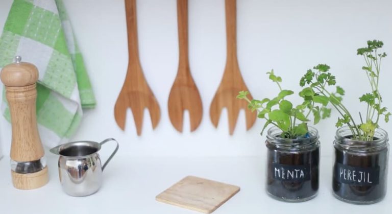 Prepara una linda y fácil huerta en casa!