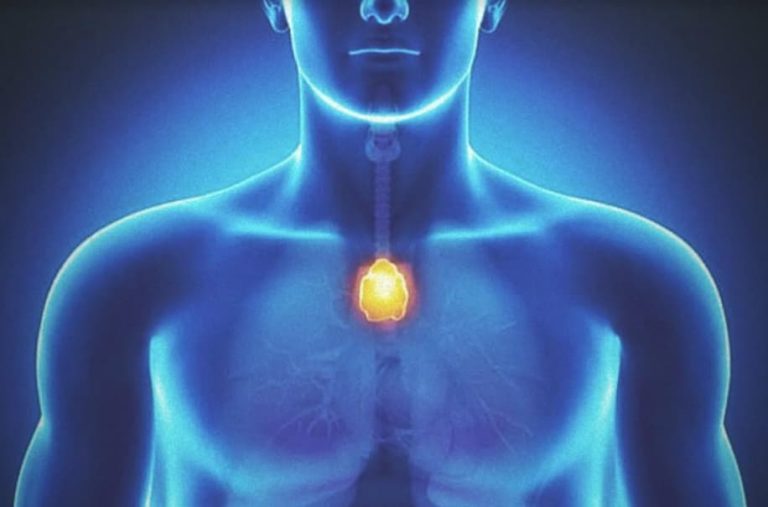De forma sencilla cómo activar diariamente la glándula Timo o glándula de la felicidad y así mejorar nuestro estado de ánimo y fortalecer nuestro sistema inmunológico