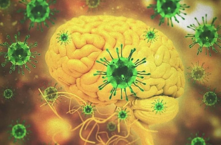 La India enfrenta el brote de un virus que no tiene tratamiento y cuya tasa de mortalidad es de hasta un 75%