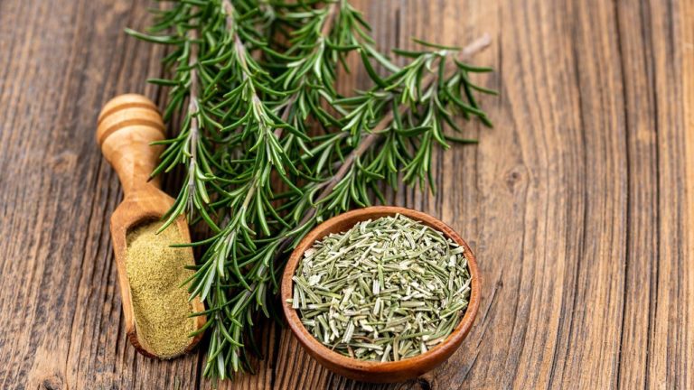 Beneficios del romero: Hierba medicinal