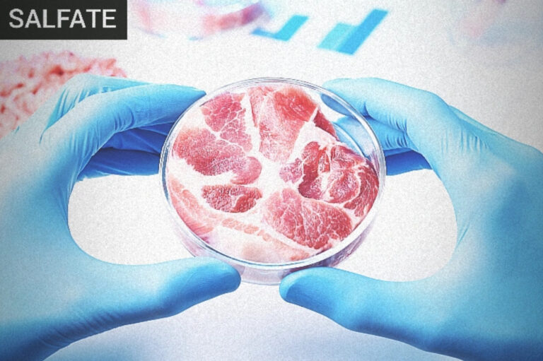 En un futuro cercano sólo tendremos acceso a carne falsa cultivada en laboratorios ¡Los gigantes transgénicos poco a poco nos están imponiendo sólo alimentos sintéticos!
