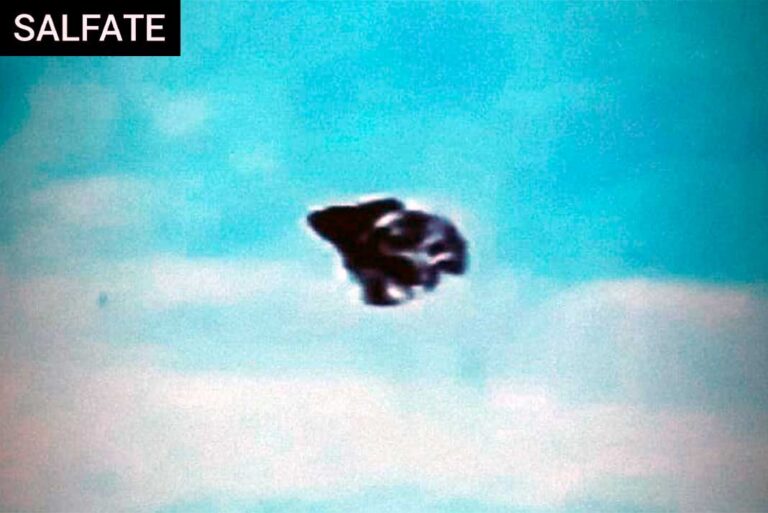 ¡Sorprendentes grabaciones de criaturas desconocidas sobrevolando a gran altura los cielos de África!