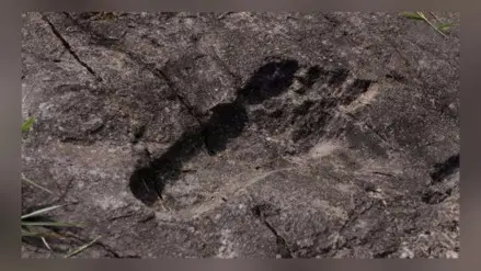 [Video] Descubren en China impresionantes huellas gigantescas de hace miles de años